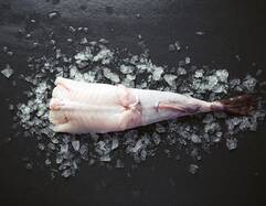 Monkfish