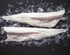 Hake Fillets