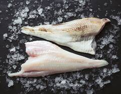 Cod Fillets