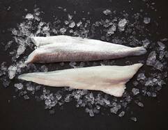 Whiting Fillets