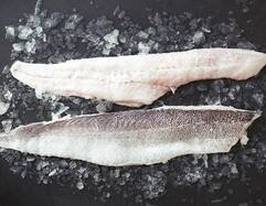 Hake Fillets