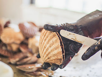 Scallop Processing